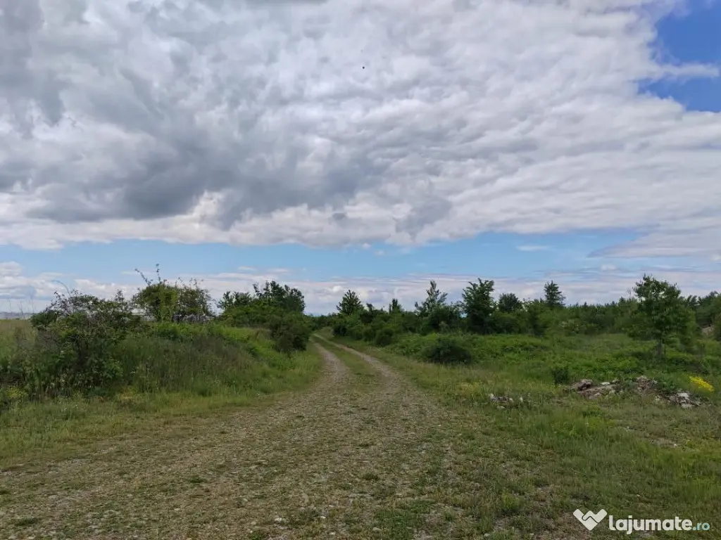Teren extravilan, 114000 mp, Parc industrial West Park