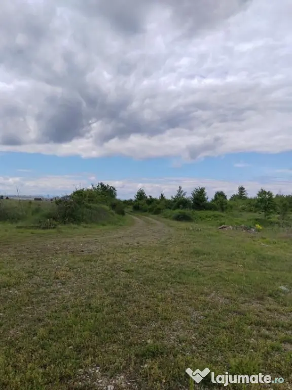 Teren extravilan, 114000 mp, Parc industrial West Park