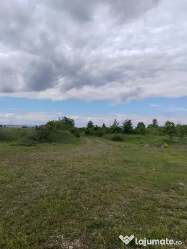Teren extravilan, 114000 mp, Parc industrial West Park