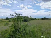 Teren extravilan, 114000 mp, Parc industrial West Park 