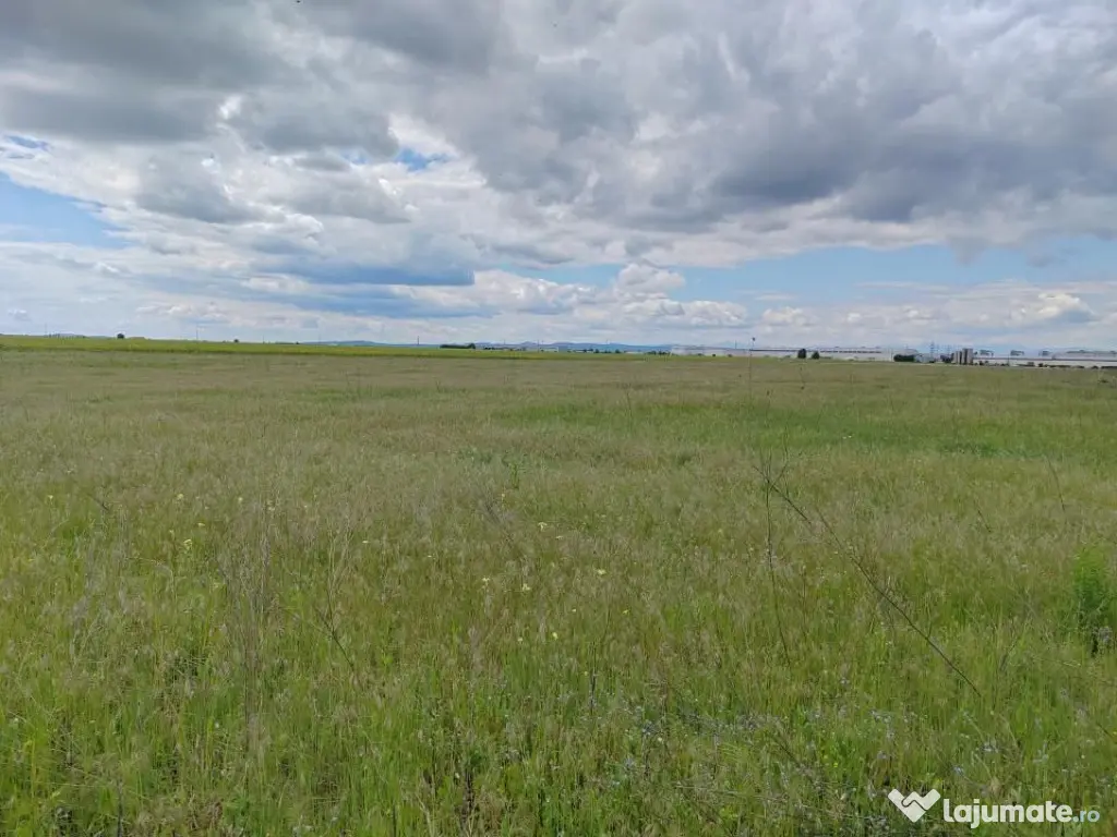 Teren extravilan, 114000 mp, Parc industrial West Park
