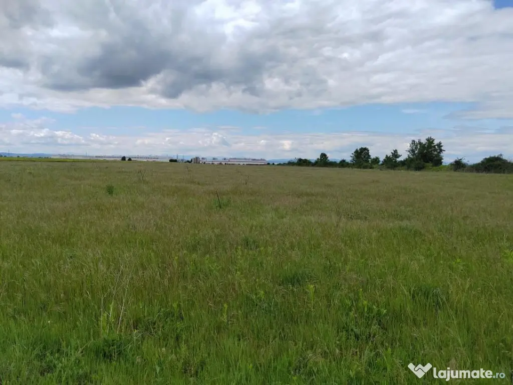 Teren extravilan, 114000 mp, Parc industrial West Park