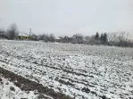 Teren intravilan Baicoi
