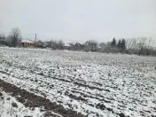 Teren intravilan Baicoi 