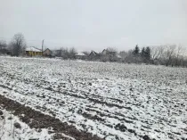 Teren intravilan Baicoi