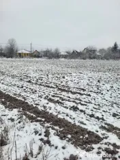 Teren intravilan Baicoi 