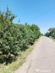 Vand casa locuibila Izvoarele 