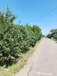 vind casa locuibila