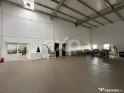 Hala Productie Premium | Teren 4.700mp 