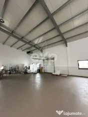 Hala Productie Premium | Teren 4.700mp 