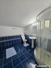 Casa si teren 1697 mp Stefanesti, 97000 EURO 