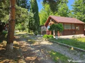 Casa si teren 1697 mp Stefanesti, 97000 EURO 