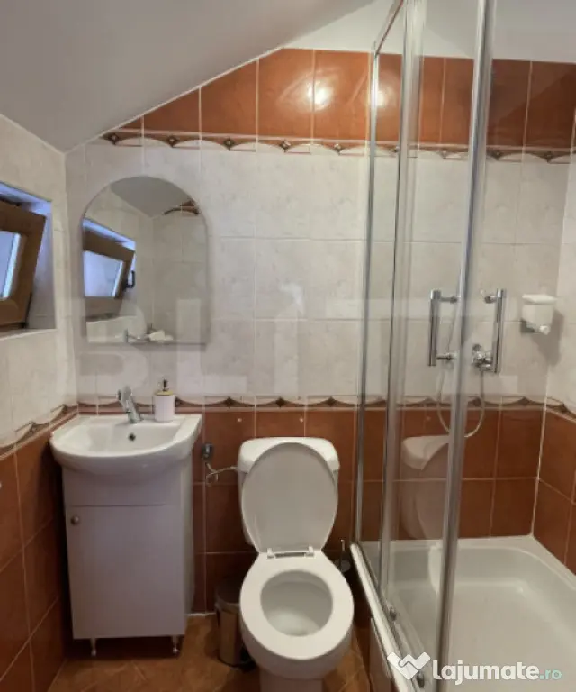 Pensiune de inchiriat, 500 mp, zona Spitalul Judetean - Timisoara (Timis)