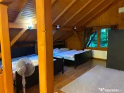 Casă SU 400 mp, teren 3000 mp, Făget