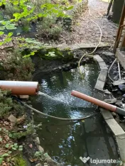 Casă SU 400 mp, teren 3000 mp, Făget