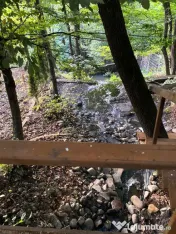 Casă SU 400 mp, teren 3000 mp, Făget