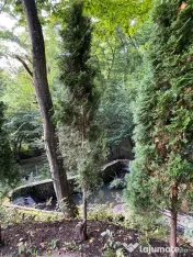 Casă SU 400 mp, teren 3000 mp, Făget