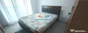 Apartament 2 camere , loc de parcare -Pet friendly - Theodor