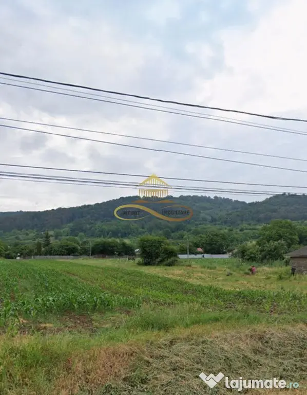 Teren intravilan de vanzare Tamasi Bacau - Tamasi (Bacau)