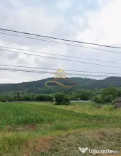 Teren intravilan de vanzare Tamasi Bacau 