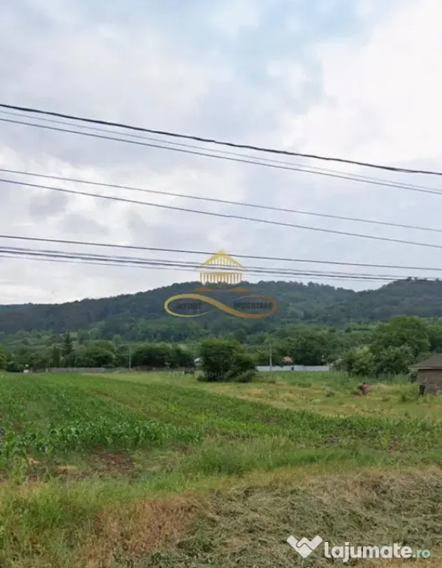 Teren intravilan de vanzare Tamasi Bacau - Tamasi (Bacau)