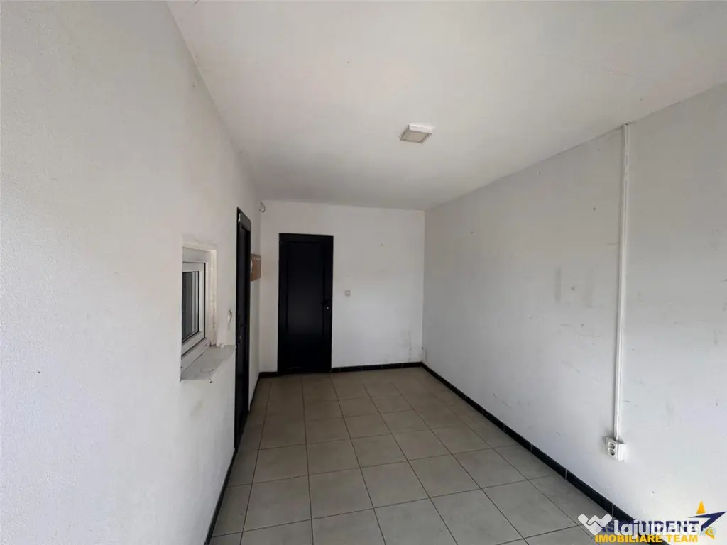 Spatiu comercial 225 mp: depozitare, productie,service auto, - Targu Mures (Mures)