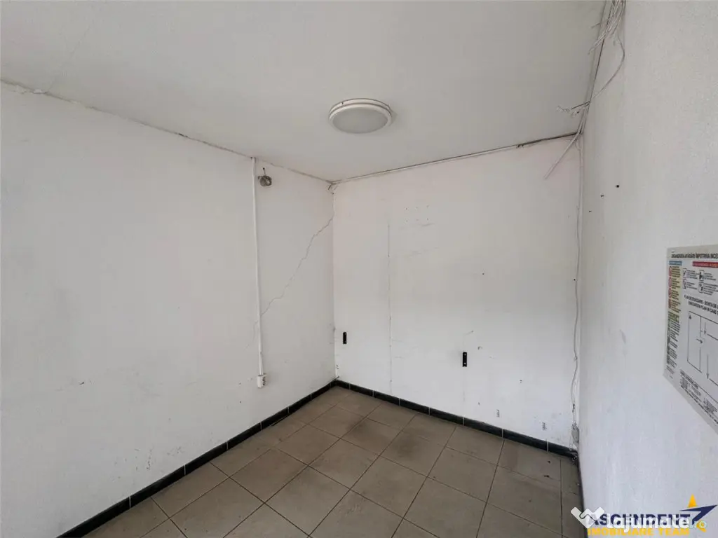 Spatiu comercial 225 mp: depozitare, productie,service auto, - Targu Mures (Mures)