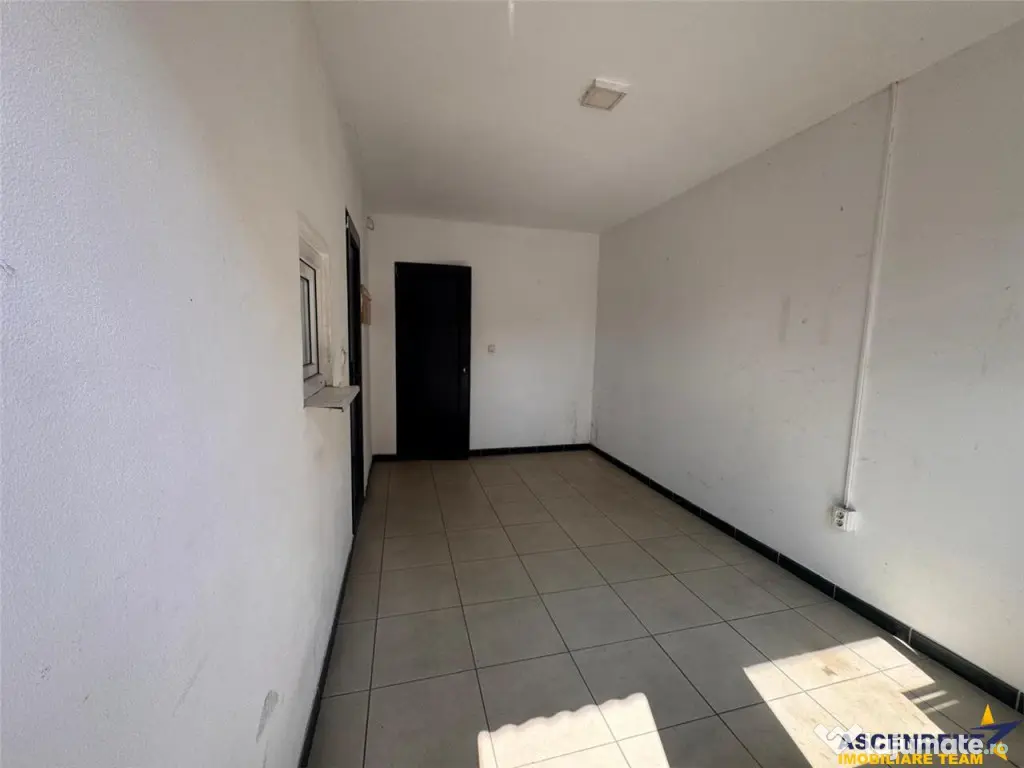 Spatiu comercial 225 mp: depozitare, productie,service auto, - Targu Mures (Mures)