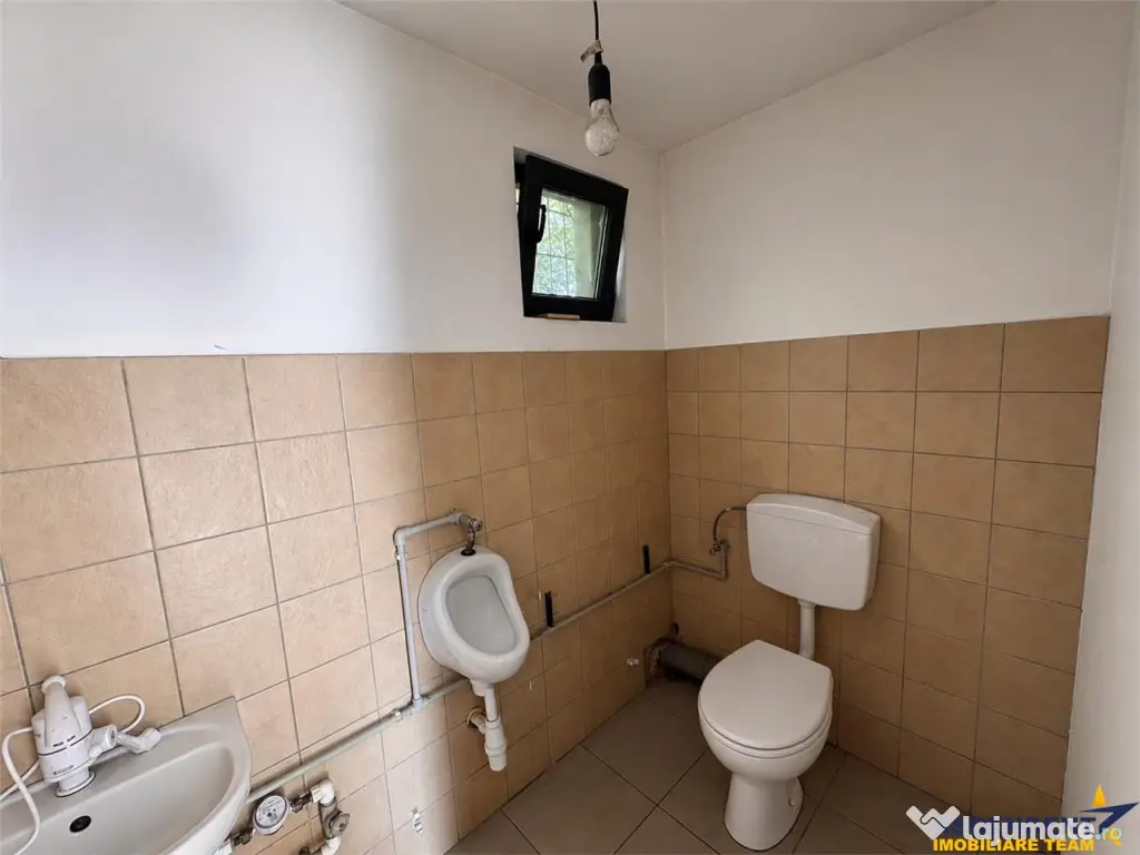 Spatiu comercial 225 mp: depozitare, productie,service auto, - Targu Mures (Mures)