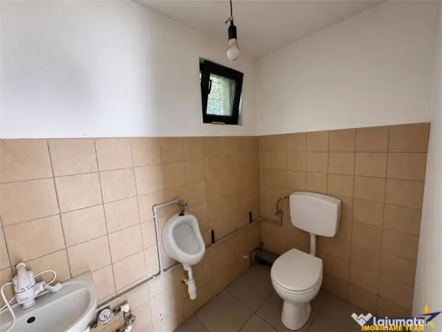 Spatiu comercial 225 mp: depozitare, productie,service auto, - Targu Mures (Mures)