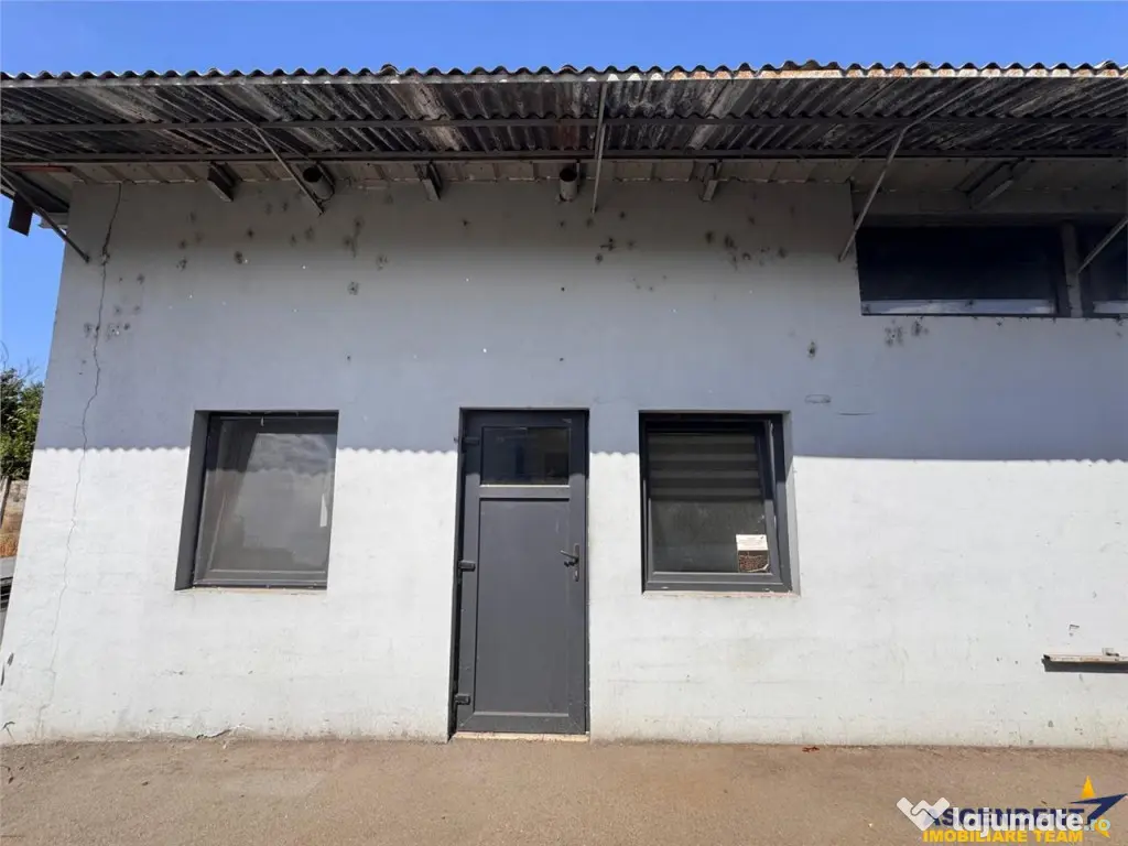 Spatiu comercial 225 mp: depozitare, productie,service auto, - Targu Mures (Mures)