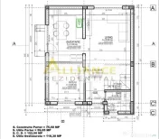 {PRIMARIE} Vila individuala cu 5 camere - 3 bai | Teren 3... 