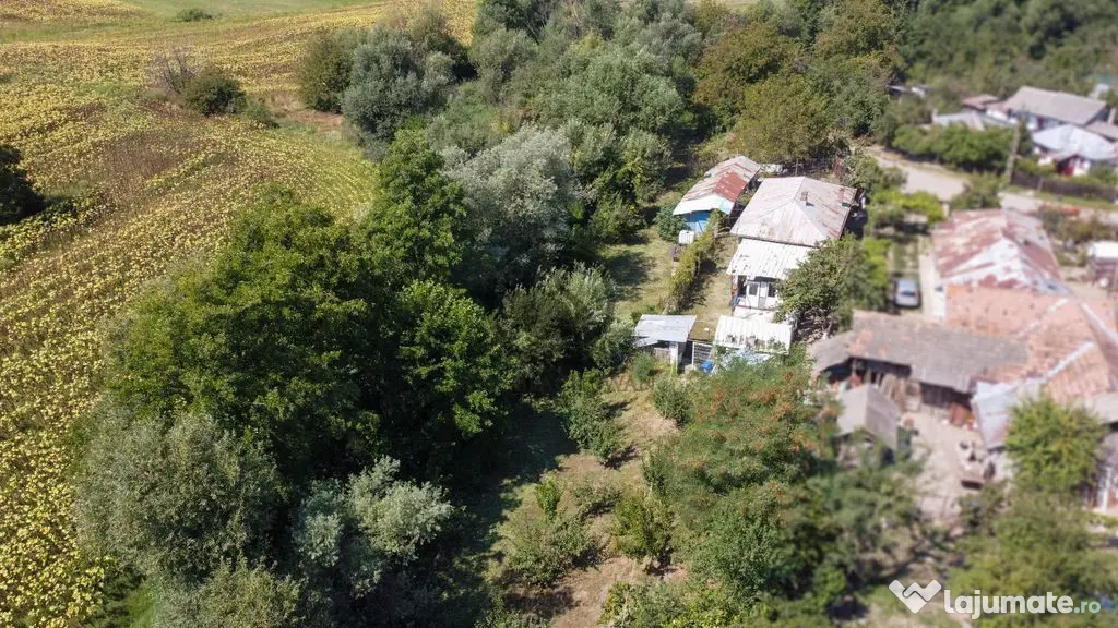 Casa de vanzare | Teren 3.000 mp | Izvor | Manesti - Coad... - Coada Izvorului (Prahova)