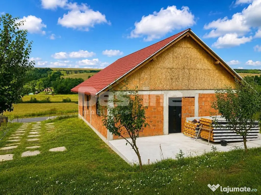 Constructie la rosu si teren 1000 mp, Zapodeni, Vaslui - Zapodeni (Vaslui)