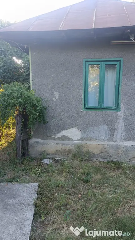 Casa Clejani 1200mp