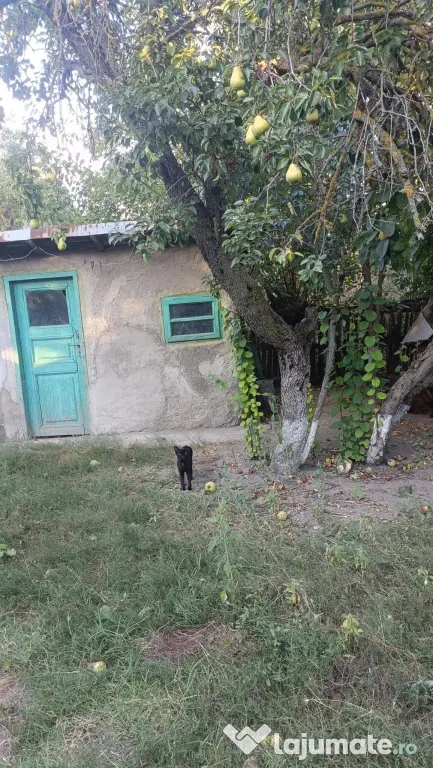 Casa Clejani 1200mp