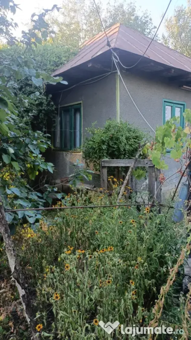 Casa Clejani 1200mp