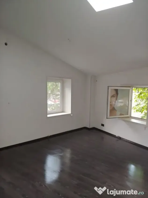 Eminescu ,Dacia spatiu comercial - Bucuresti (Bucuresti-Ilfov)
