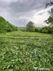 Teren 2200 mp, în Rădaia, com Baciu 