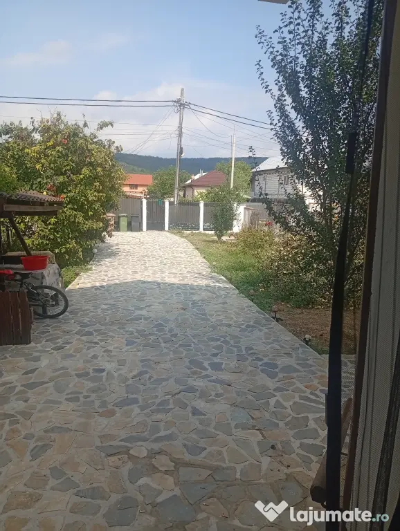 Casa de închiriat