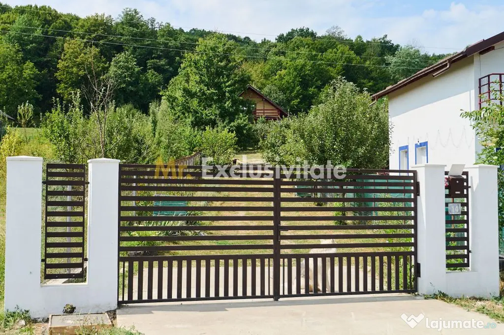 Doua CASE in aceeasi curte–BABANA, ARGEȘ | 1.485 MP TEREN - Babana (Arges)