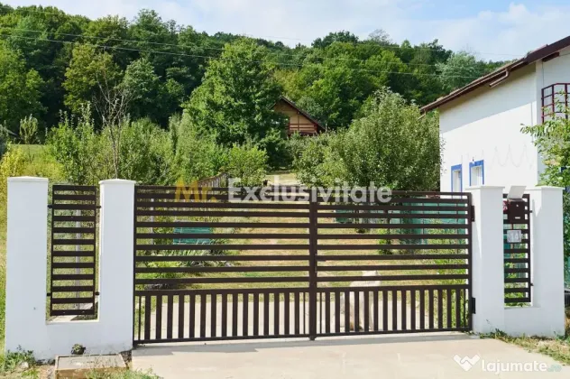 Doua CASE in aceeasi curte–BABANA, ARGEȘ | 1.485 MP TEREN - Babana (Arges)