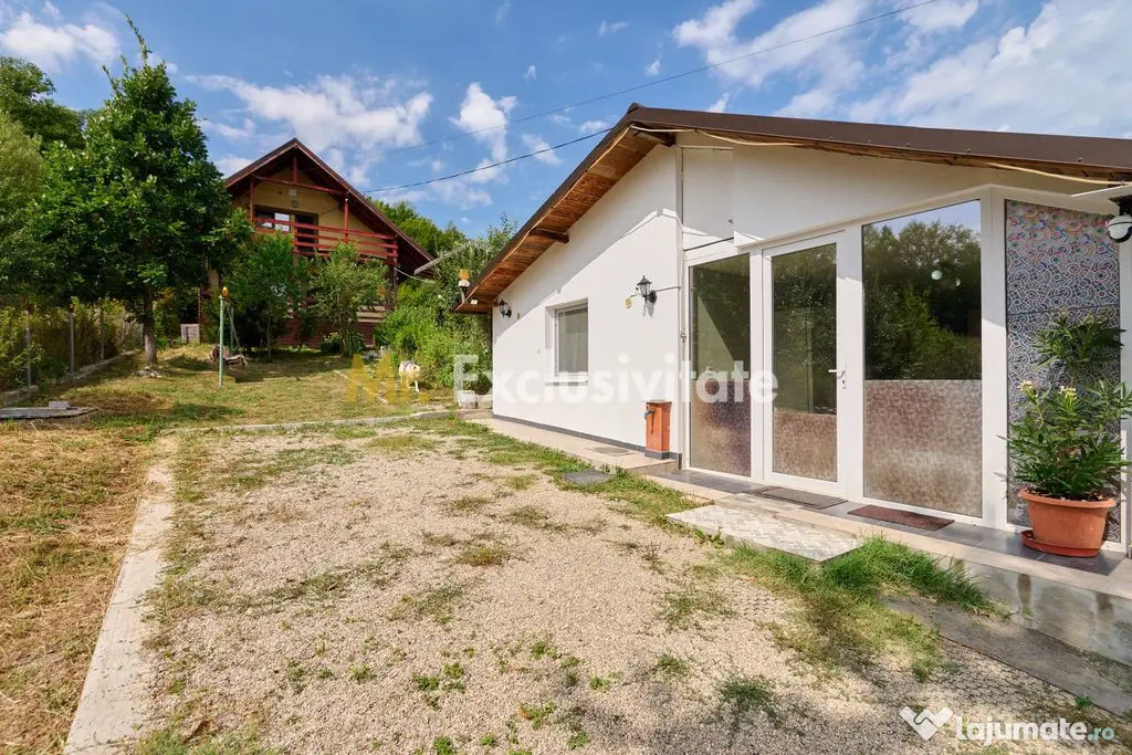 Doua CASE in aceeasi curte–BABANA, ARGEȘ | 1.485 MP TEREN - Babana (Arges)