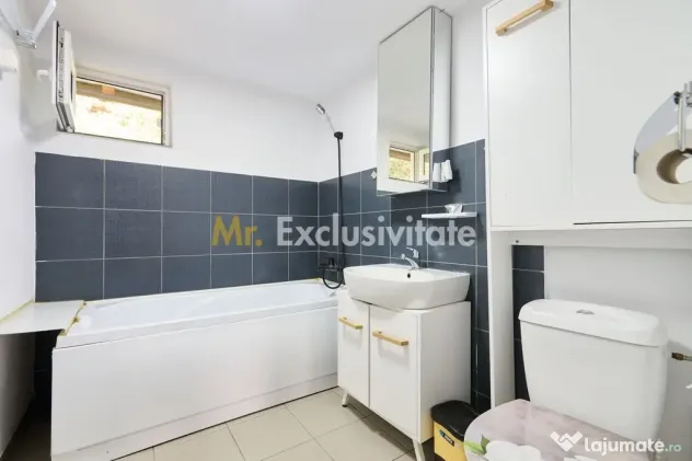 Doua CASE in aceeasi curte–BABANA, ARGEȘ | 1.485 MP TEREN - Babana (Arges)