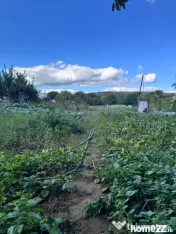 Oportunitate investitie, teren intravilan zona Terapia 2877m