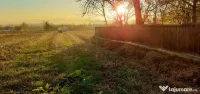 Teren intravilan generos de 2.950 mp în Vârfu Câmpului, Botoșani