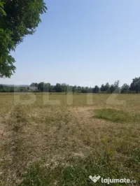 Teren 26 ari, extravilan, langa padure, Partestii de Jos 