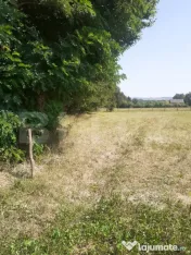 Teren 26 ari, extravilan, langa padure, Partestii de Jos