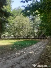 Teren 26 ari, extravilan, langa padure, Partestii de Jos