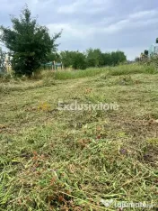 Teren intravilan în Băbana 1575 mp intravilan 